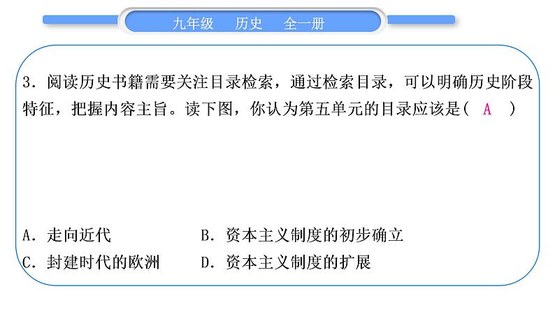 人教版九年级历史上第6单元资本主义制度的初步确立小专题一　资本主义的兴起和发展习题课件04