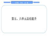 人教版九年级历史下第6单元走向和平发展的世界第五、六单元总结提升习题课件