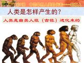 人教部编版七初中历史七年级上册1.1中国早期人类的代表——北京人  课件