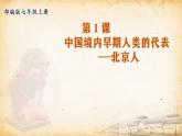 人教部编版七初中历史七年级上册1.1中国早期人类的代表——北京人  课件