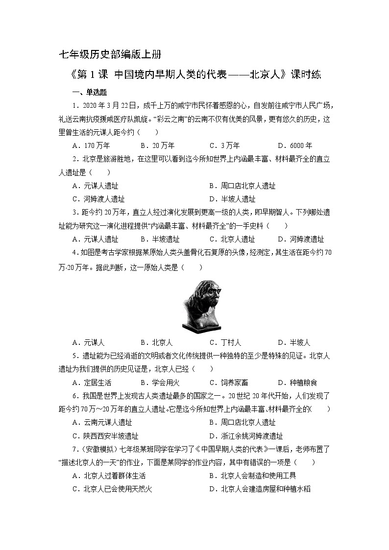 七年级历史部编版上册《1.1 中国境内早期人类的代表——北京人》   课时练101