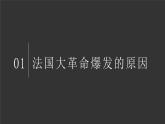 部编版九年级历史上册--第19课 法国大革命和拿破仑帝国（精品课件1）