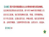部编版七年级历史上册复习课件--专题四　中国古代经济的发展