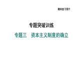 部编版九年级历史上册复习课件--专题三　资本主义制度的确立