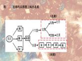 第19课 北魏政治和北方民族大交融 课件