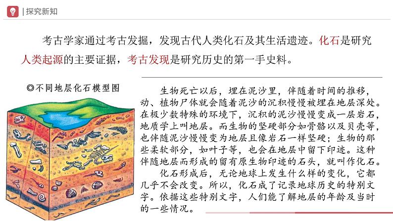 1.1 中国境内早期人类的代表——北京人（课件+教学设计+练习）---2022-2023学年初中历史部编版七年级上册04