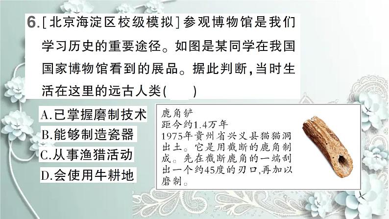 部编版历史七年级上册 第一单元检测卷 课件第7页