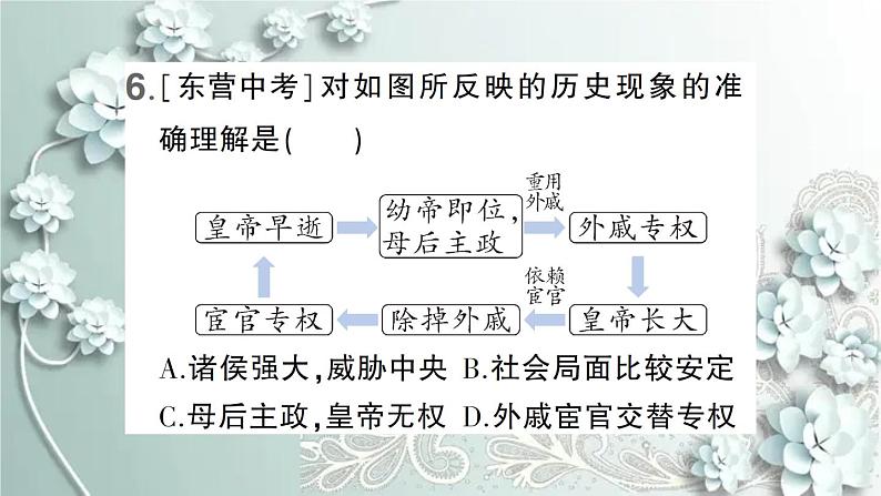 部编版历史七年级上册 第13课 东汉的兴衰 课件第8页