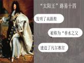 第19课 法国大革命和拿破仑帝国课件---2022-2023学年初中历史部编版九年级上册