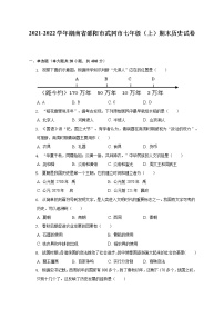 2021-2022学年湖南省邵阳市武冈市七年级（上）期末历史试卷（含解析）