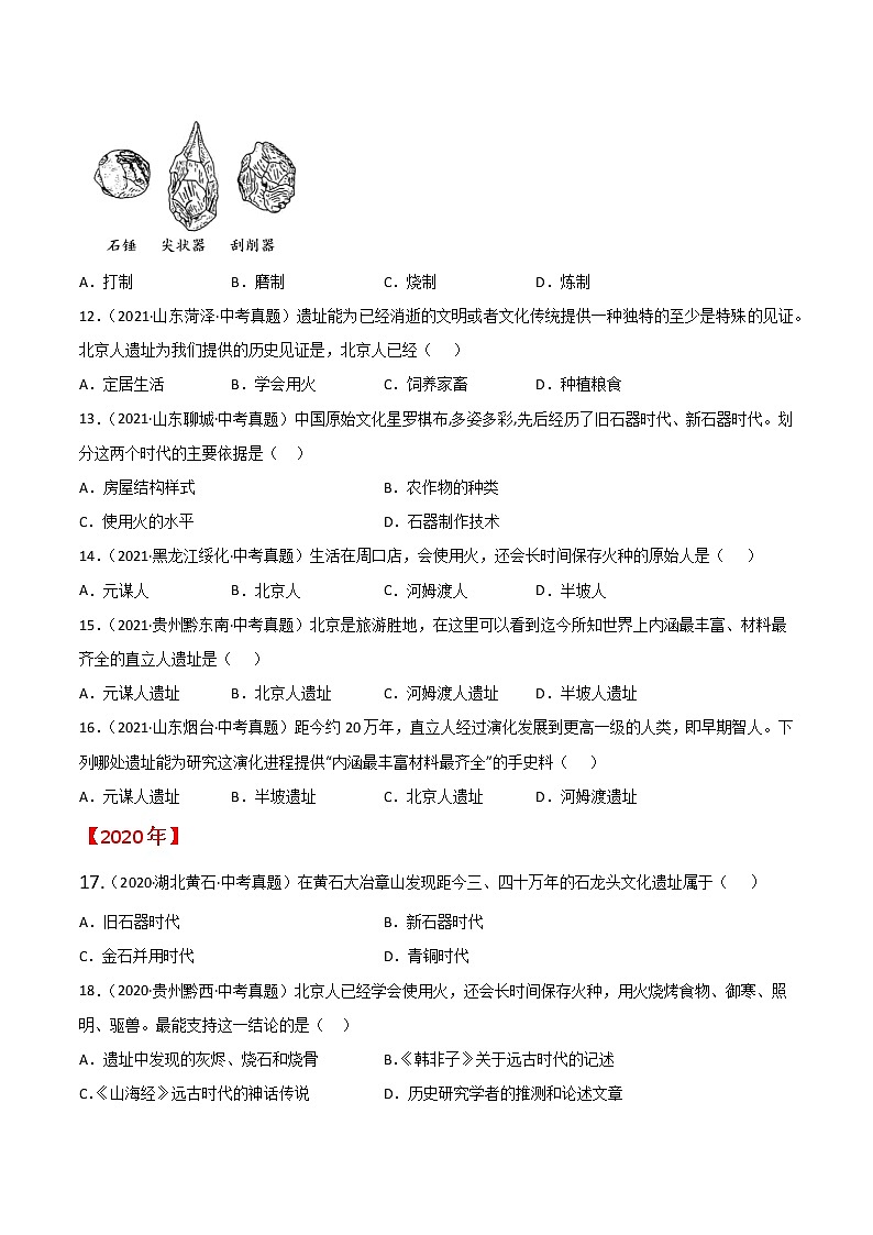 专题01 史前时期：中国境内人类的活动与文明的起源（原卷版）第3页