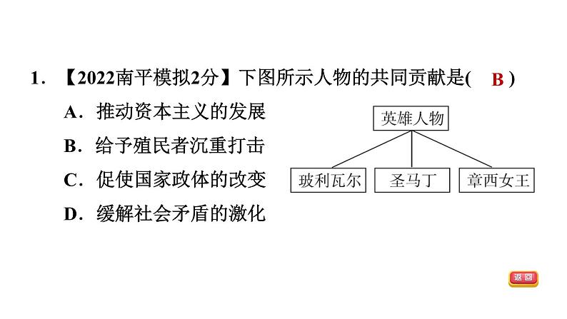 中考历史复习25.殖民地人民的反抗与,资本主义制度的扩展课后练课件第3页