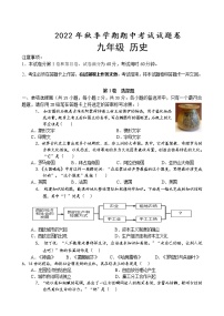 广西壮族自治区河池市宜州区2022-2023学年九年级上学期期中考试历史试题(含答案)