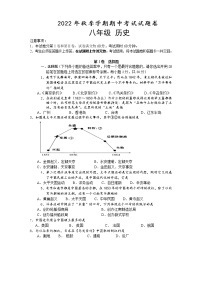 广西壮族自治区河池市宜州区2022-2023学年八年级上学期期中考试历史试题（含答案）