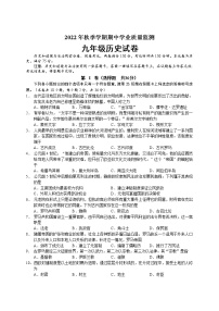 广西南宁市2022-2023学年九年级上学期期中考试历史试题（含答案）