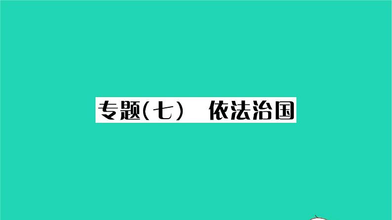 2022九年级历史下册第六单元走向和平发展的世界专题七依法治国作业课件新人教版01