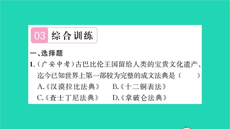 2022九年级历史下册第六单元走向和平发展的世界专题七依法治国作业课件新人教版06