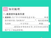 2022七年级历史下册第一单元隋唐时期：繁荣与开放的时代第4课唐朝的中外文化交流作业课件新人教版