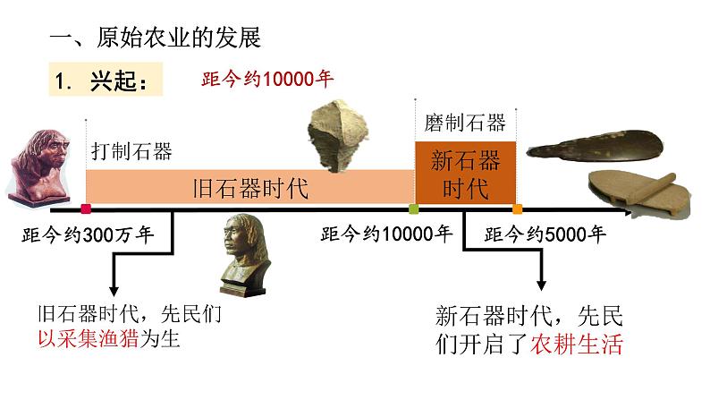 1.2  原始农耕生活第3页