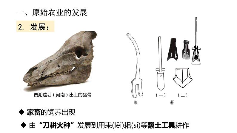 1.2  原始农耕生活第5页