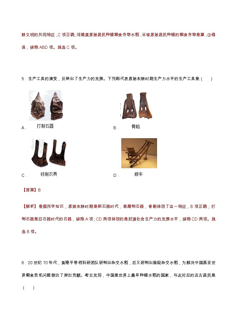 第2课  原始农耕生活（分层作业）-七年级历史上册同步备课系列（部编版）03