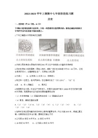 河南省周口市西华县2022-2023学年部编版七年级上学期期中历史试题（含答案）