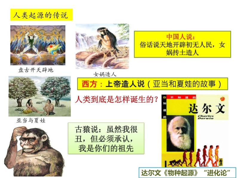第1课 中国早期人类的代表──北京人 课件02