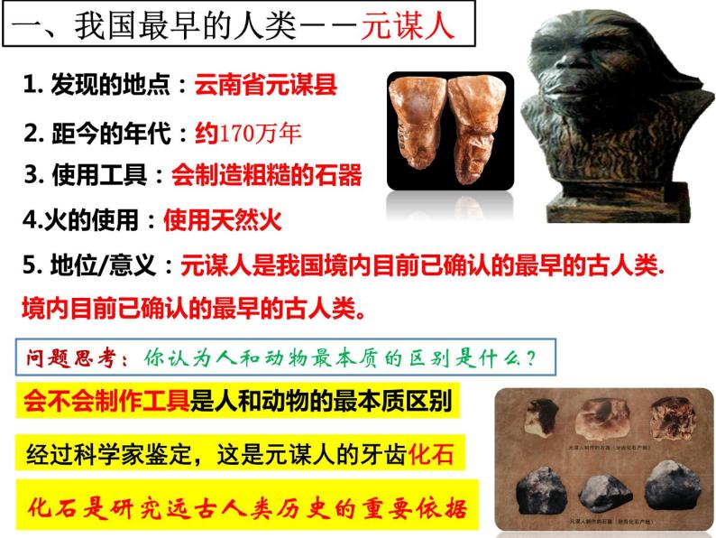第1课 中国早期人类的代表──北京人 课件07