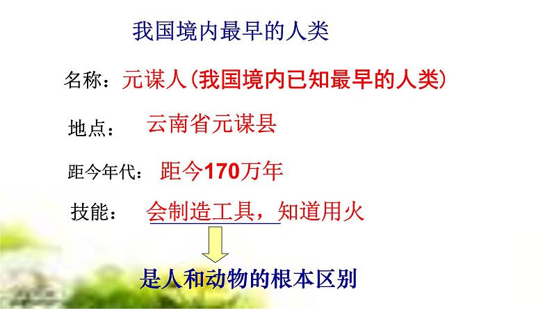 第1课 中国早期人类的代表——北京人 课件第4页