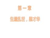 第13课 西欧经济和社会的发展 课件