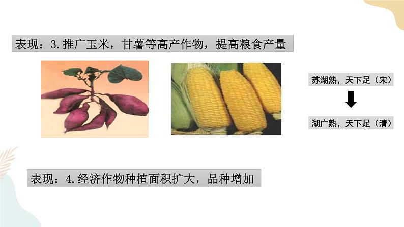 第19课 清朝前期社会经济的发展 课件 部编版七年级历史下册第7页