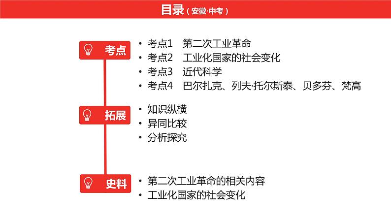 中考总复习历史（安徽地区）考点九年级下册 第二单元　第二次工业革命和近代科学文化课件第6页