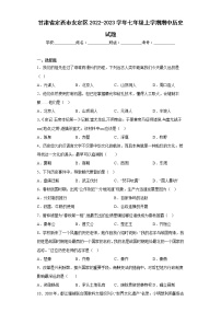 甘肃省定西市安定区2022-2023学年七年级上学期期中历史试题(含答案)