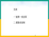 第2课 俄国的改革1课件