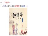 部编版历史七年级下册3.21  清朝前期的文学艺术 课件