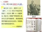 部编版历史七年级下册3.21  清朝前期的文学艺术 课件