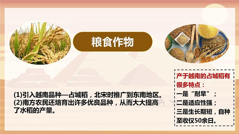 【人教部编版】七下历史  第9课 宋代经济的发展（课件+教案+视频）08