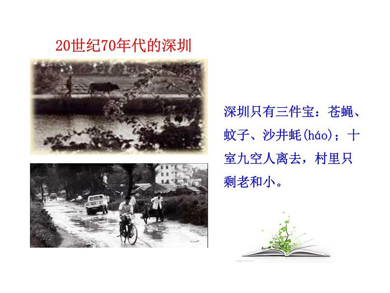 3.9  对 外 开 放课件 2022-2023学年八年级下册历史05