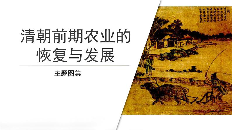 19【知识解析】清朝前期农业的恢复与发展主题图集第1页