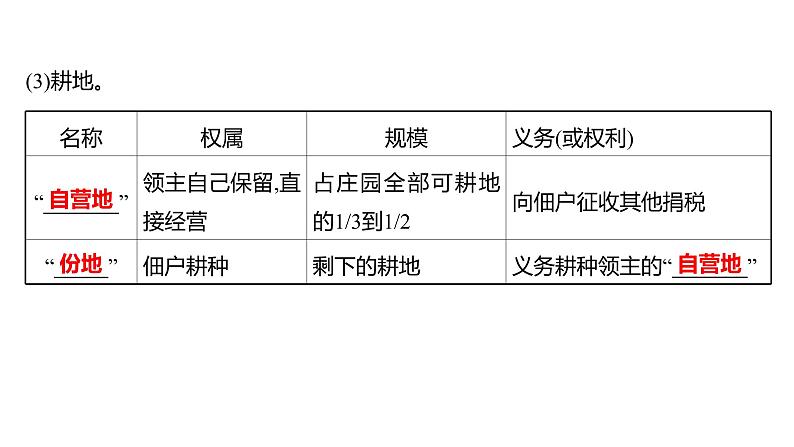 2022-2023 人教版历史 九年级上册 第三单元  第8课西 欧 庄 园 课件03