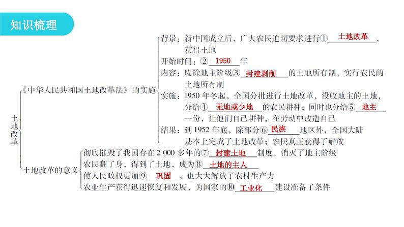 人教版八年级历史下册第一单元第3课土地改革教学课件第4页