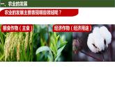 2.9+宋代经济的发展++课件+2021-2022学年部编版七年级历史下册