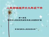 人教部编版历史九年级下册 第一单元 第一课 殖民地人民的反抗斗争 课件