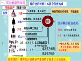 人教部编版历史九年级下册 第一单元 第四课 日本明治维新 课件