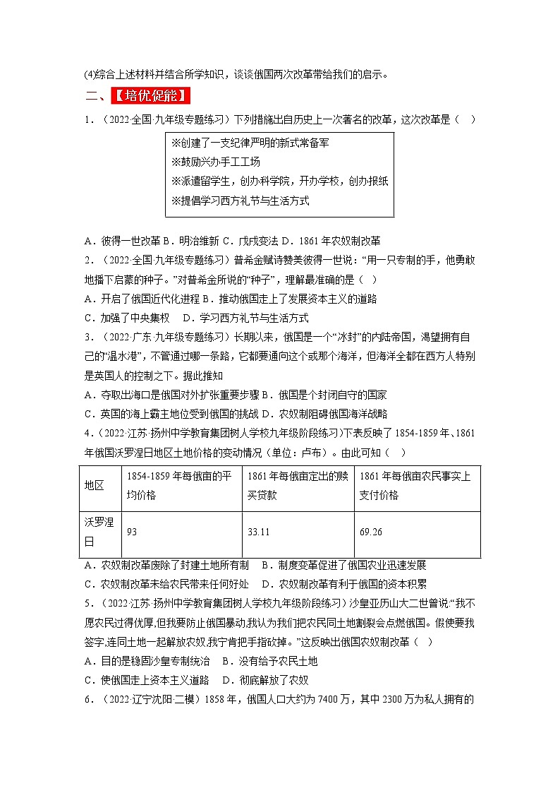 第2课  俄国的改革（同步课件+同步教案+导学案+同步练习）九年级历史下册同步备课系列（部编版）03