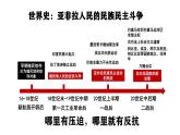 5.19亚非拉国家的新发展课件 2022-2023学年部编版九年级历史下册