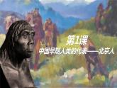 1中国境内早期人类的代表课件PPT