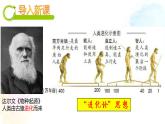 1中国境内早期人类的代表课件PPT
