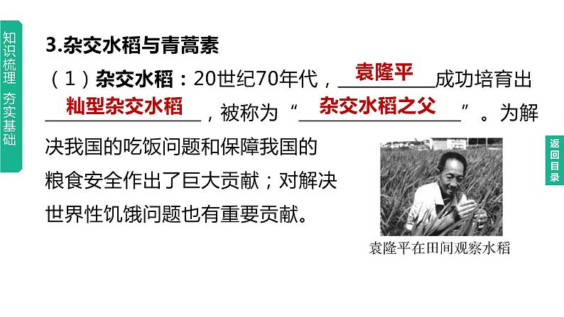 初中历史中考复习 2023年历史中考总复习一轮复习课件：主题21　科技文化与社会生活06