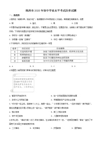 初中历史中考复习 精品解析：湖南省株洲市2020年中考历史试题（原卷版）